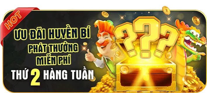Các chương trình khuyến mãi và ưu đãi VIP