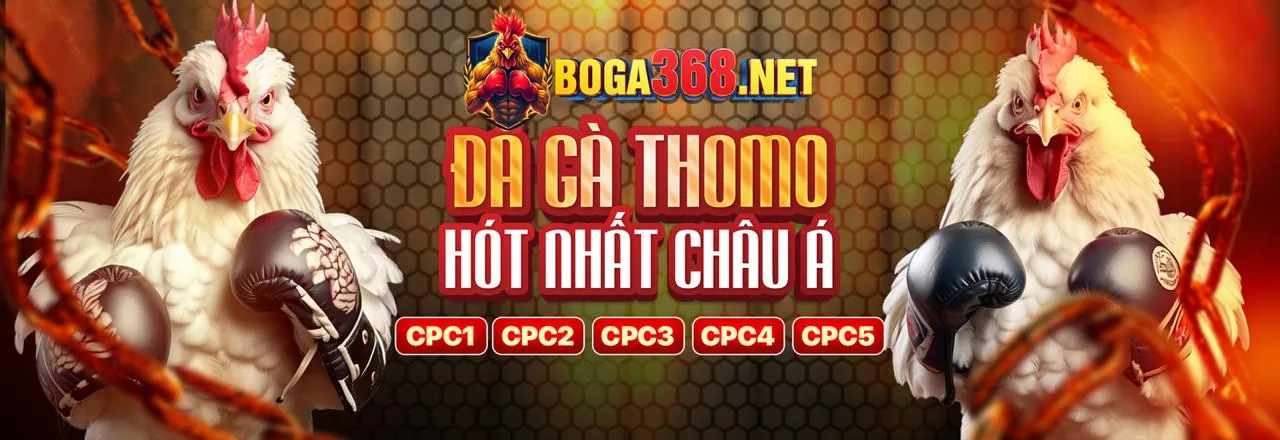 Đá Gà Trực Tiếp 789vg – Trận Đấu Kịch Tính